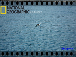 SAM_0779%28%B0%A5%B8%C5%B1%E2%29.JPG?type=w3