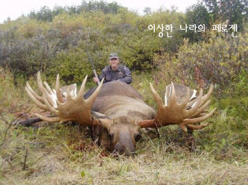 [신기한동물] 세상에서 가장 큰 동물들, 희귀동물 거미 개 / 페로젠 : 네이버 블로그