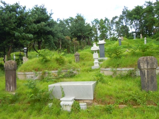 김당 이미지