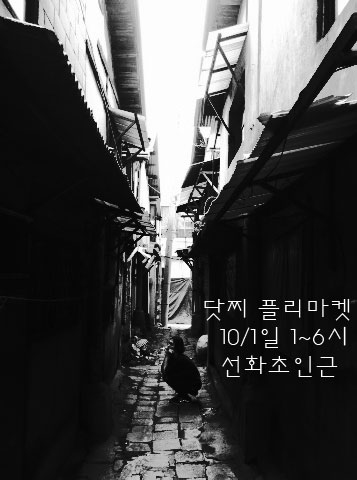 닷찌 이미지