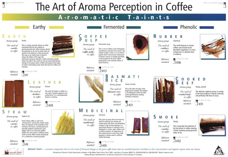 The Art of Aroma perception in Coffee Aromatic Taints 네이버 블로그