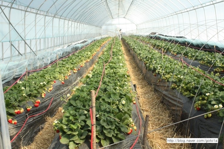 IMG_9195.JPG?type=w2