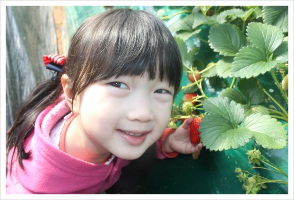 %BB%E7%C1%F8_278.jpg?type=w1