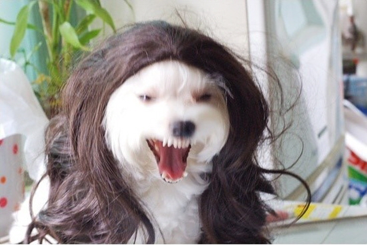 엄마밥도 이미지