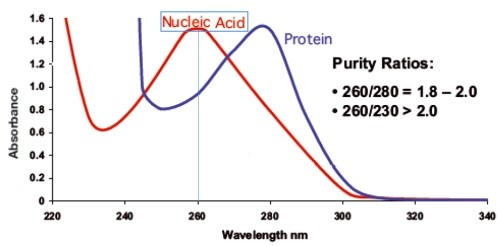 DNA Concentration Purity dna-concentration-purity