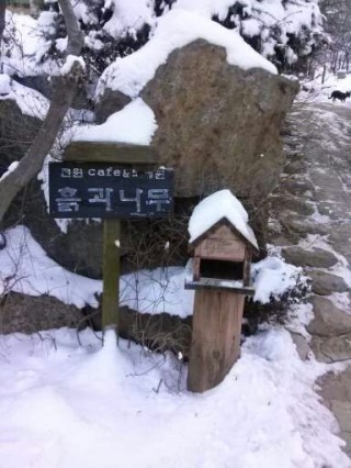 흙과나무 이미지