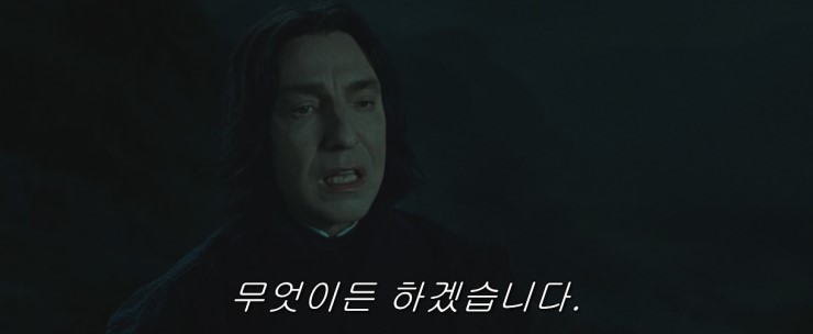 <해리포터> 스네이프 교수님에게 해리포터는 어떤 존재였을까요 | 인스티즈