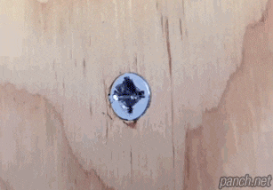 %BD%CA%C0%DA%B3%AA%BB%E7%B8%B6%B8%F0.gif