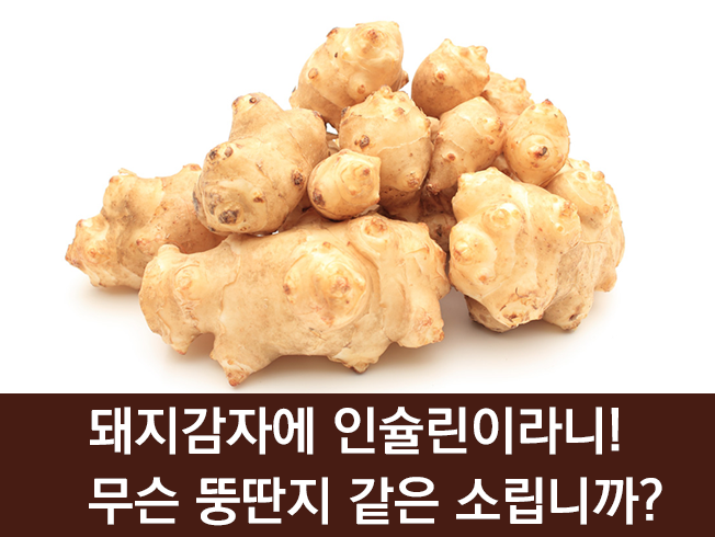 바로돼지 이미지