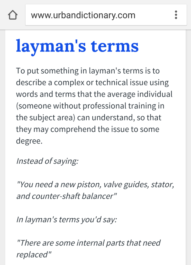 소피K의 비즈니스 영어 (31) in layman's term 네이버 블로그