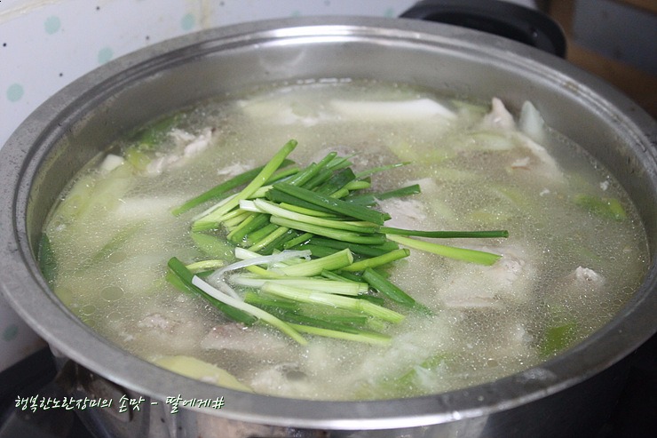 마리키친 이미지