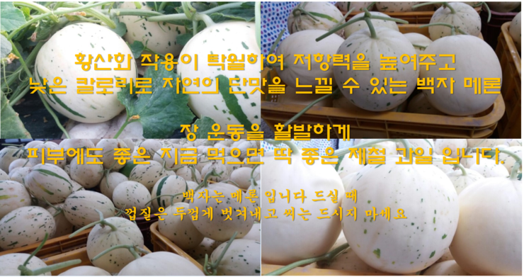 연자연 이미지