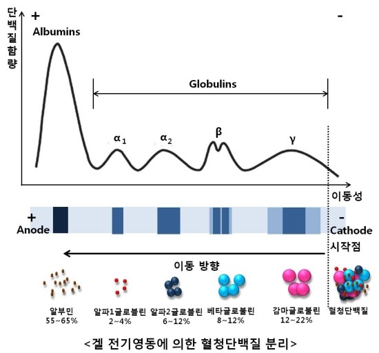 ebook rna