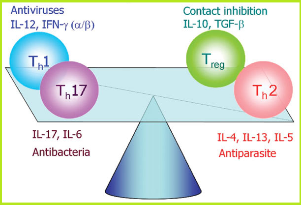 아토피 피부염, 건선 치료 면역이론과 아라비녹실란(베타글루칸) 면역요법 / 피부 가려움증(피부소양증) 해결법 : 네이버 블로그