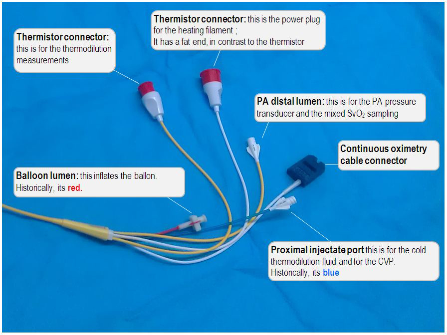 swan-ganz-catheter
