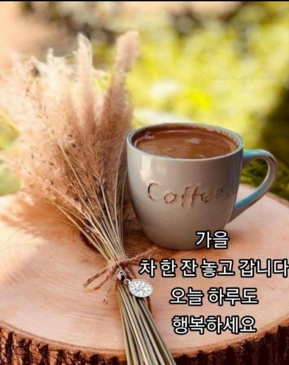 오늘선물 이미지