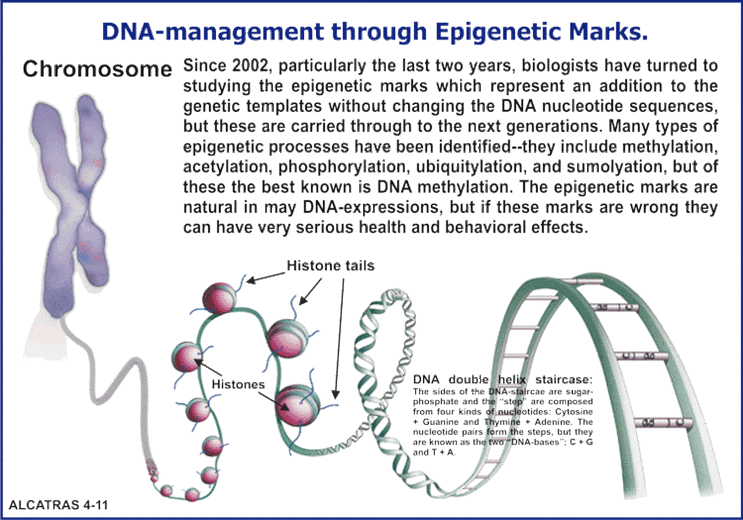 무엇인가? 네이버 블로그