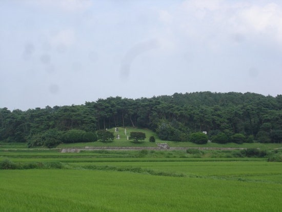 result_2008_6_4_0_45_24_140_22-tklim1.jpg?type=w3