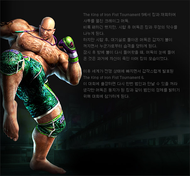 철권 6 : 킹과 머덕, 아머킹에 대해 : 네이버 블로그