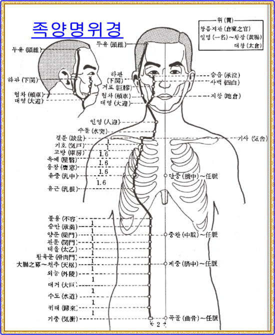 배의 혈자리 12경혈의 명칭과 위치 봉침혈자리 : 네이버 블로그